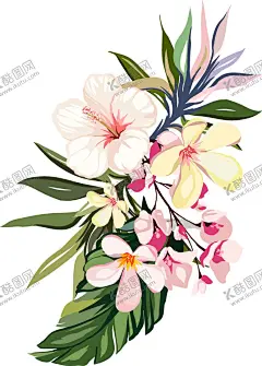 花卉 【酷图网】热带花,花卉,手绘,矢量,芙蓉花