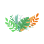 植物png