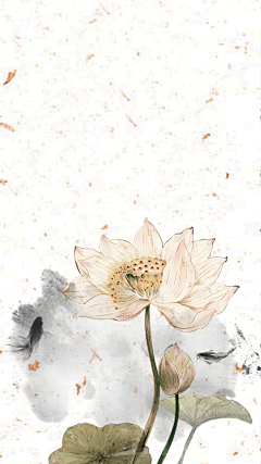 CAD使我上头采集到动漫风