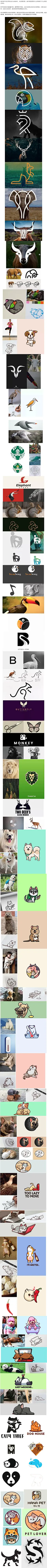 创意LOGO设计形成的思路-动物LOGO-动画插画手绘