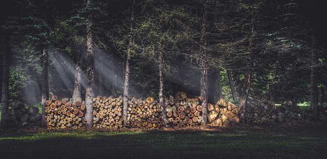 Logs by Anton Bachuk...
