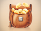 MoneyBag Mac OS icon