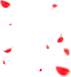 冬眠の土木君采集到WEB_PNG/前景/按钮/线框