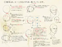 文章-人物头部的多角度参考 | 半次元-ACG同人创作&amp;同好社群
