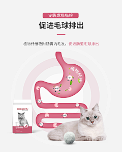 Rainwow采集到猫咪