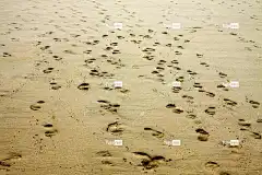 沙 脚印 美丽的大自然 高清壁纸 海滩 自然 Windows壁纸