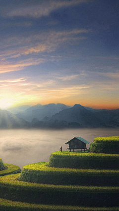 首富不是我采集到场景