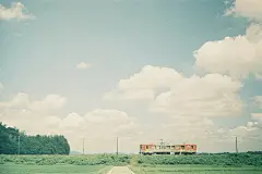 绿色养眼清新绿化图片 - 每日分享美图_唯美图片_小清新图片_QQ头像_壁纸_清纯美女_文字句子 - kjson