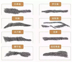 小喵的小窝采集到头发