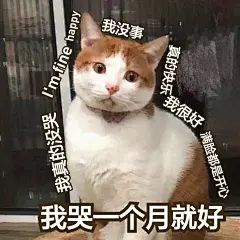 今日神段丨直男攀比心有多重？他们死磕起来没女人什么事了！