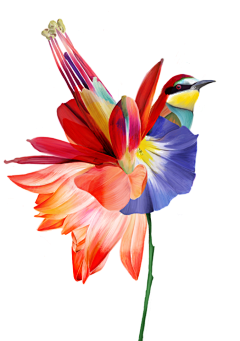 xNFil_嚸嚸采集到BEHANCE