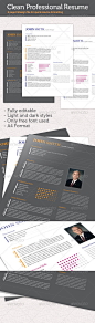 Clean Professional Resume/CV - GraphicRiver Item for Sale