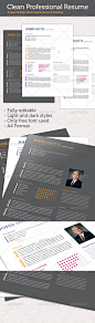 Clean Professional ResumeCV 简历模板公司形象设计素材源文件-淘宝网