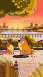 This contains an image of: Doggie Corgi Wallpaper - iXpap