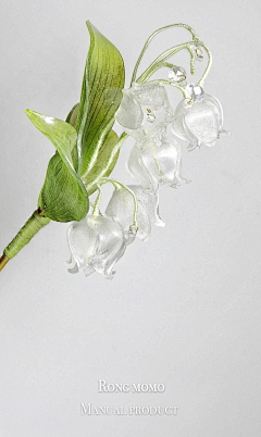 阿杜互换采集到花