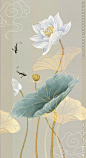 荷花装饰画