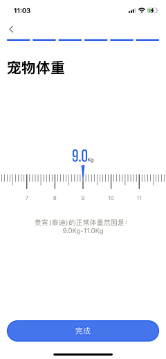 小月~采集到APP-宠物