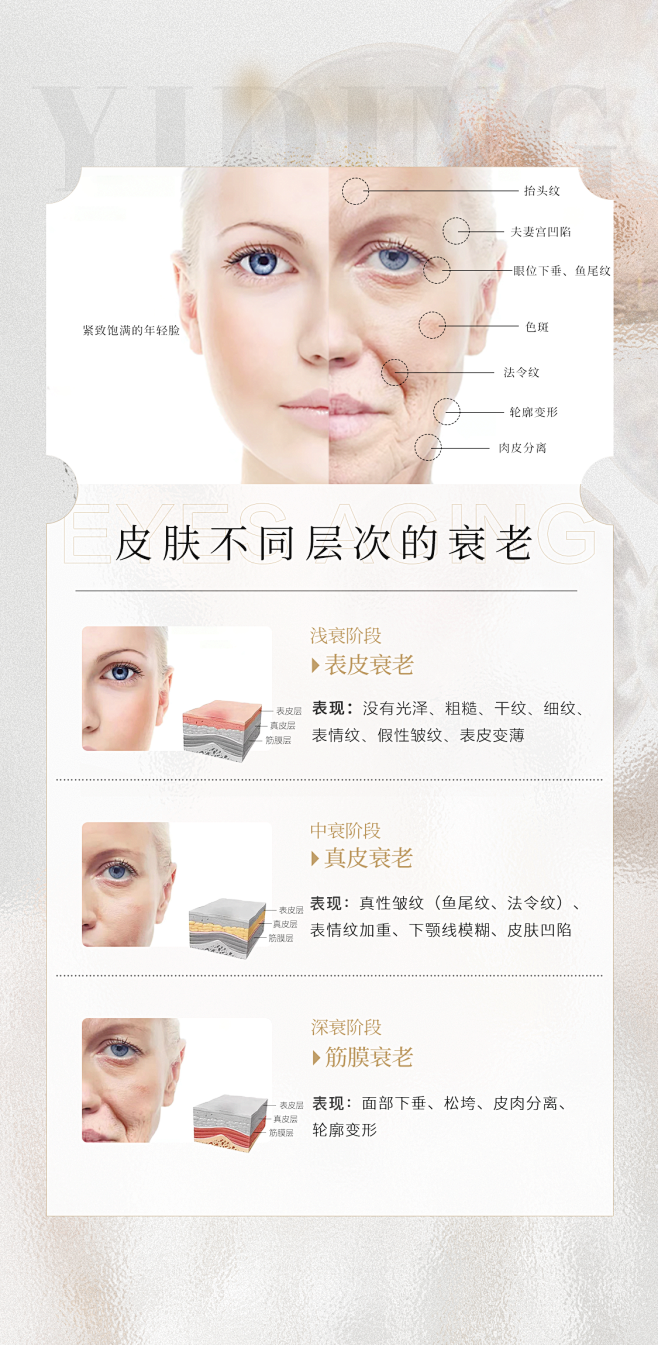 皮肤不同层次的衰老海报-志设网-zs9.com