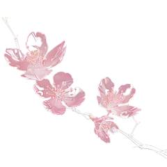 *糖不甜*采集到花瓣下载