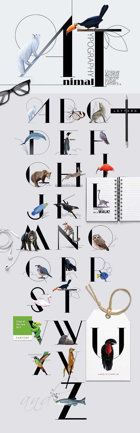 Animal Typography - ...