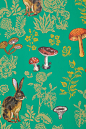 #MushroomForest #Wallpaper #Anthropologie