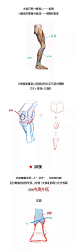 【春哥课堂】腿部结构到底怎么画？（彩蛋：臀部+胸部） : 1米8的大长腿，不来看一下嘛？