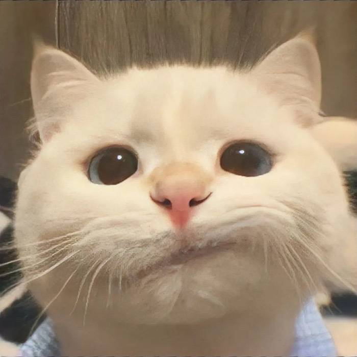 早点睡啊~宝