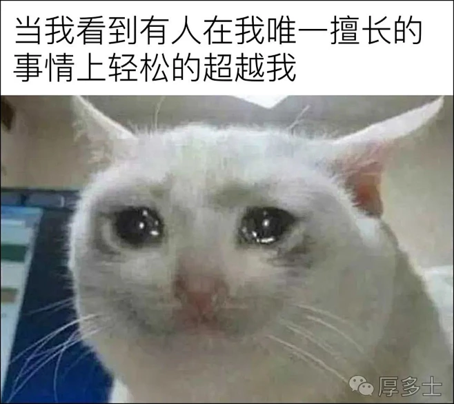image-花瓣网