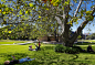 悉尼大学达林顿校区景观University of Sydney by TCL-mooool设计