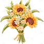 植物通用插画向日葵花朵元素素材