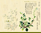 【2012台历】国立台湾大学设计壁纸10月