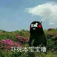 吓死本宝宝噜 熊本熊表情包