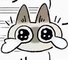 躲起来辽采集到表情包