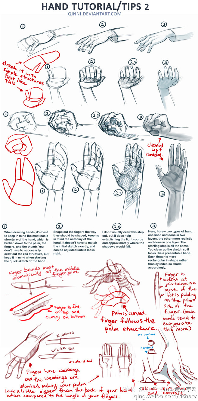 教你如何画出准确自然的手~
