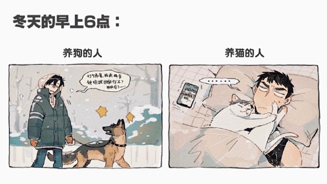 这次是加了很多梗图的第不知道几弹合集