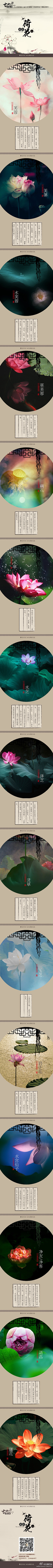 金生水起全能采集到禅