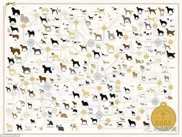 100张经典信息可视化图表，让你脑洞大开...
