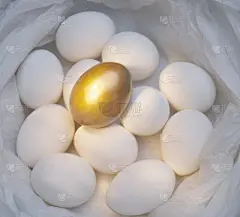 黄金,卵,白色,闪亮的,平滑的,机遇,鹅肉,光亮,图像,金色