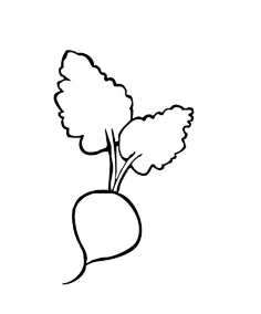 水果苹果香蕉胡萝卜简笔画-红豆饭小学生简笔画大全hongdoufan.