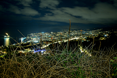 道川采集到风景