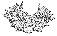 银子君采集到山海经