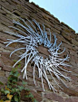 Stainless steel Abstract or Modern Garden / Yard #sculpture by #sculptor secondnature Ian Turnock & Susan Laughton titled: 'Spindrift (Wall Hung Stainless Steel Perforated Sheet Circular Decor)' #art