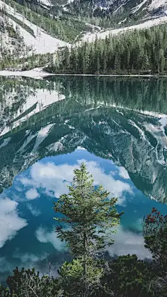 手机壁纸-微博正文 - 微博HTML5版