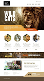 Great idea for a zoo website