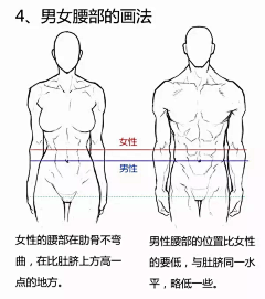 兔子同学采集到绘图教程