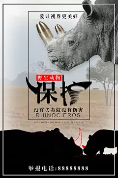 保护野生动物公益宣传海报