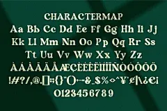 时尚复古品牌海报电影徽标设计衬线英文字体安装包 Slikren  Vintage Retro Serif Font插图5