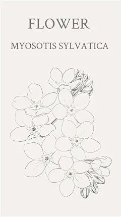 勿忘我（学名：Myosotis sylvatica），又名勿忘草、星辰花等，是紫草科勿忘草属（Myosotis L.）的植物，为阿拉斯加州州花。花语：永恒的爱，浓情厚谊，永不变的心，永远的回忆。寓意：“请不要忘记我真诚的爱”或代表“请想念我，忠贞的希望一切都还没有晚，我会再次归来给你幸福”。