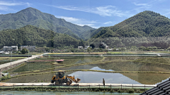 浅草薇薇采集到浙江-丽水-上下锦、城北乡