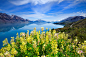 Photograph Lake Wakatipu